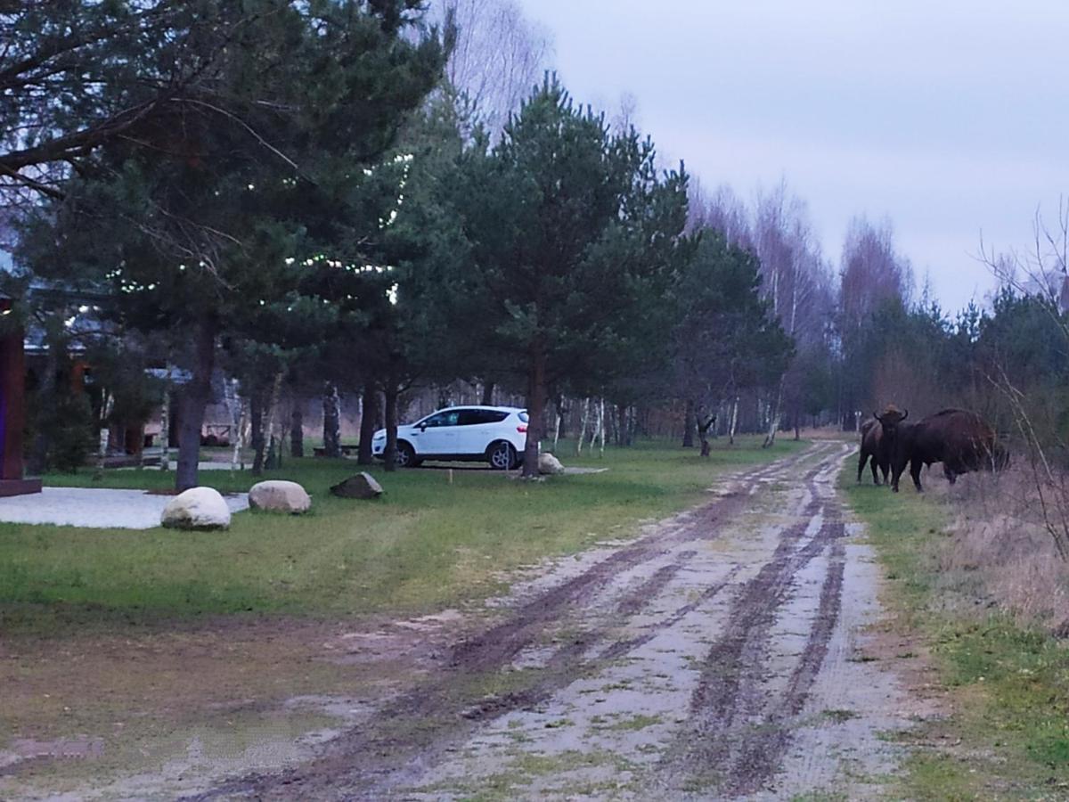 Świronek Villa Białowieża Kültér fotó